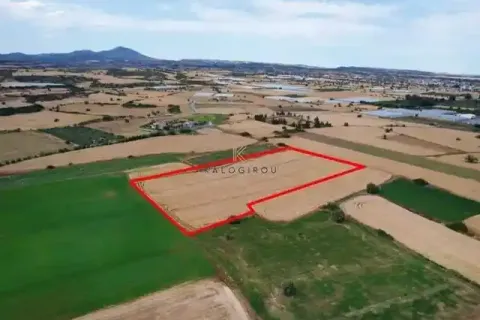 14716m² Land à Alaminos, Cyprus No. 41569 1