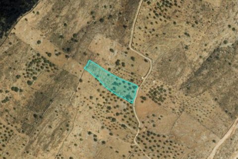 5826m² Land en Agios Nikolaos, Greece No. 54306 5