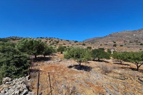 5826m² Land en Agios Nikolaos, Greece No. 54306 4