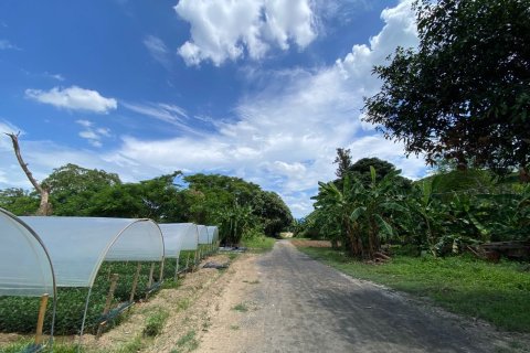 20 chambres Land à Chiang Mai, Thailand No. 1363 3