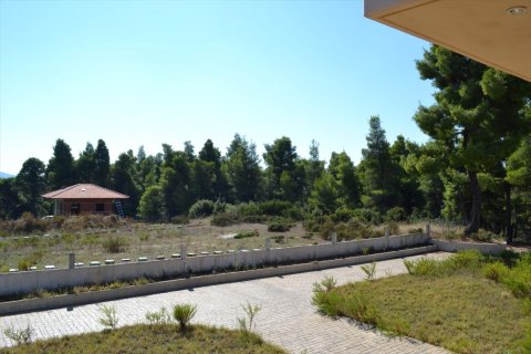 3 bedrooms Maisonette in Chalkidiki, Greece No. 58993 14