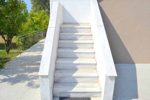 4 chambres House à Chalkidiki, Greece No. 58990 21