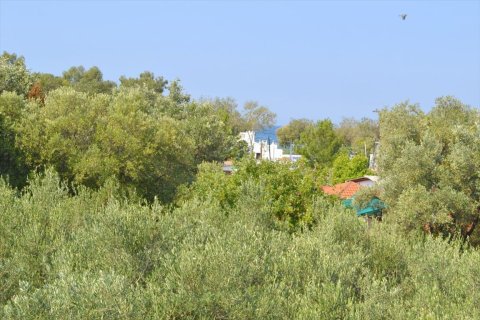 4 dormitorios House en Chalkidiki, Greece No. 58990 17