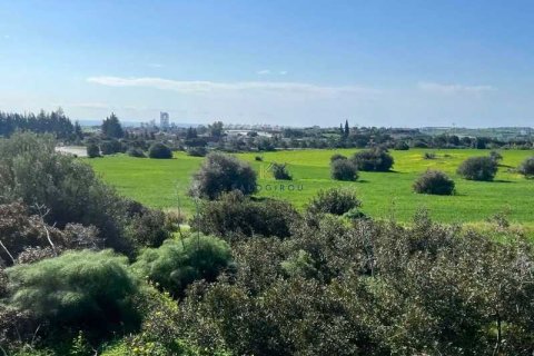 17392m² Land en Kalavasos, Cyprus No. 75742 3