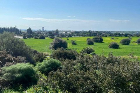 17392m² Land en Kalavasos, Cyprus No. 75742 2