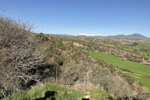 58529m² Land en Agios Theodoros, Cyprus No. 75746 5