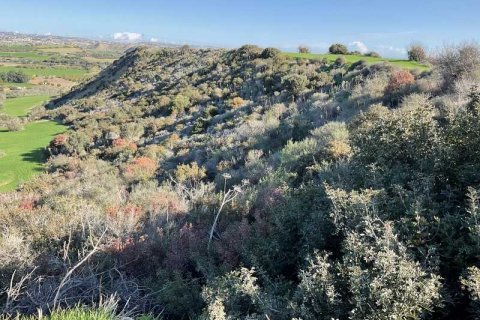 58529m² Land en Agios Theodoros, Cyprus No. 75746 7