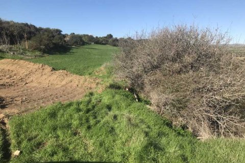 58529m² Land en Agios Theodoros, Cyprus No. 75746 8