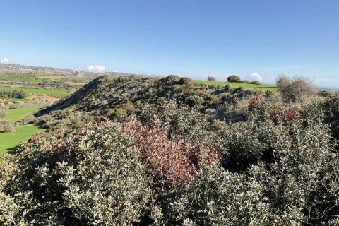 58529m² Land en Agios Theodoros, Cyprus No. 75746 9