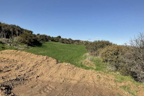 58529m² Land en Agios Theodoros, Cyprus No. 75746 3