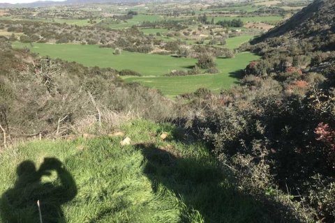 58529m² Land en Agios Theodoros, Cyprus No. 75746 10