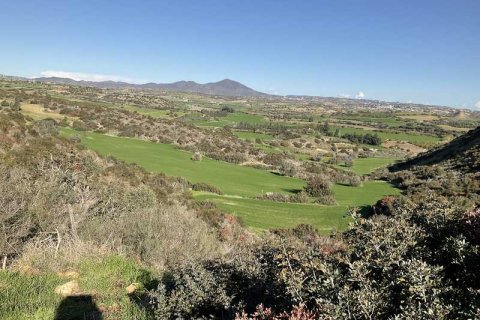 58529m² Land en Agios Theodoros, Cyprus No. 75746 6