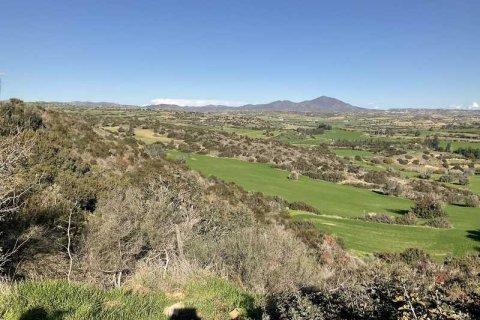 58529m² Land en Agios Theodoros, Cyprus No. 75746 4