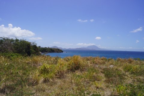 7405.67m² Land en Basseterre, Saint Kitts and Nevis No. 61523 2