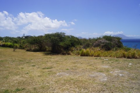 7405.67m² Land à Basseterre, Saint Kitts and Nevis No. 61523 7