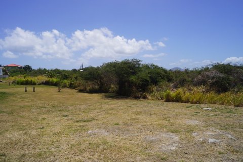 7405.67m² Land à Basseterre, Saint Kitts and Nevis No. 61523 6