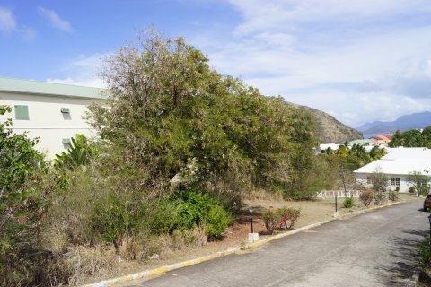 1168.07m² Land en Frigate Bay, Saint Kitts and Nevis No. 61520 7