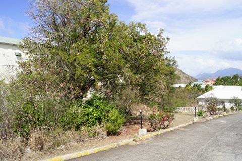 1168.07m² Land en Frigate Bay, Saint Kitts and Nevis No. 61520 4