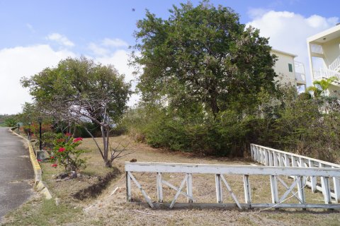 1168.07m² Land en Frigate Bay, Saint Kitts and Nevis No. 61520 1