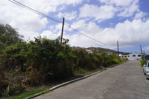 4243.53m² Land à Frigate Bay, Saint Kitts and Nevis No. 61519 1