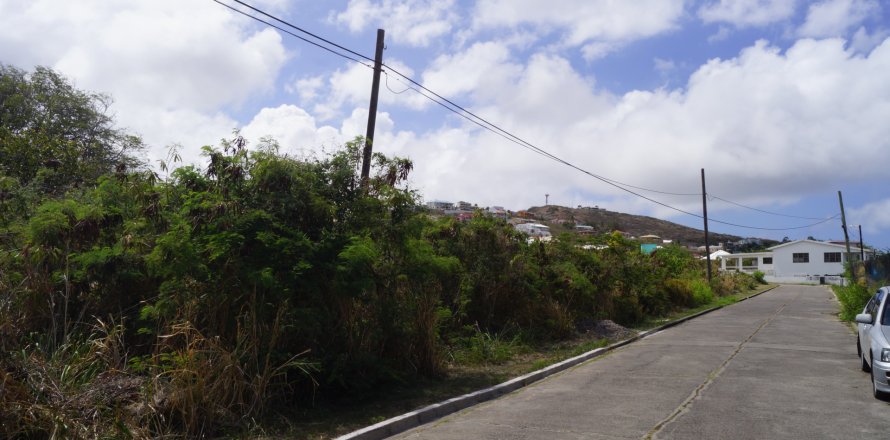 4243.53m² Land in Frigate Bay, Saint Kitts and Nevis No. 61519