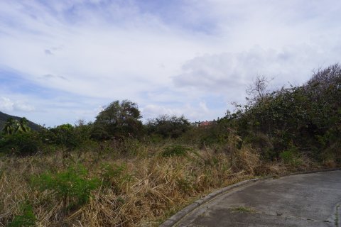 4243.53m² Land à Frigate Bay, Saint Kitts and Nevis No. 61519 5