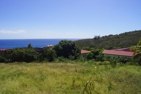 1207.74m² Land en Basseterre, Saint Kitts and Nevis No. 61524 3