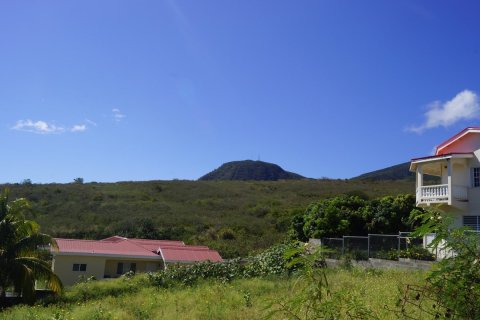 1207.74m² Land in Basseterre, Saint Kitts and Nevis No. 61524 2