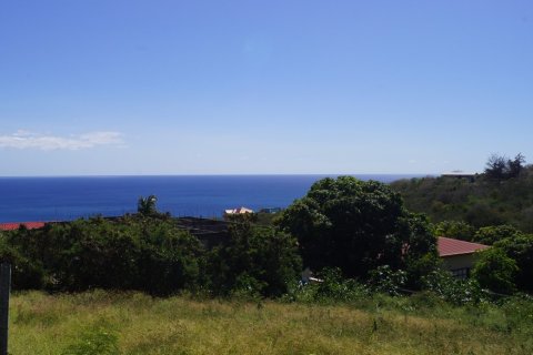 1207.74m² Land in Basseterre, Saint Kitts and Nevis No. 61524 1