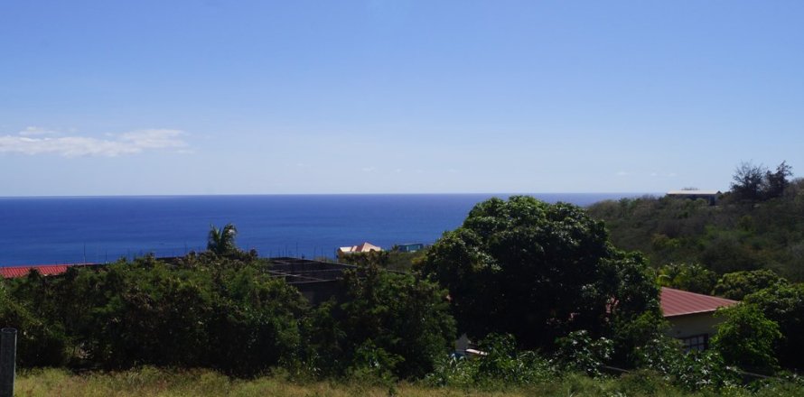 1207.74m² Land in Basseterre, Saint Kitts and Nevis No. 61524