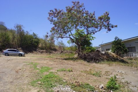 4046.86m² Land in Basseterre, Saint Kitts and Nevis No. 61521 3