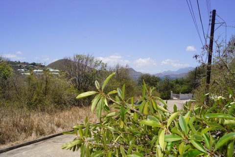 21448.34m² Land en Basseterre, Saint Kitts and Nevis No. 61522 7