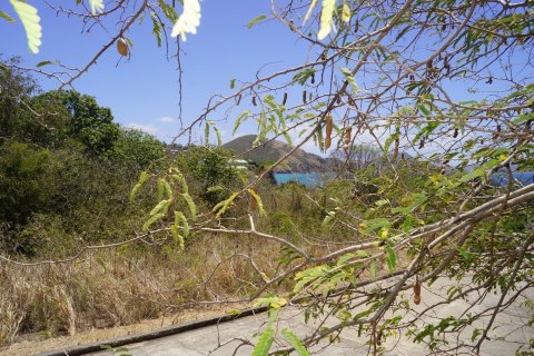 21448.34m² Land in Basseterre, Saint Kitts and Nevis No. 61522 9