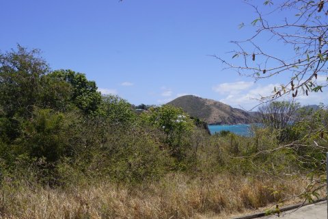 21448.34m² Land à Basseterre, Saint Kitts and Nevis No. 61522 11