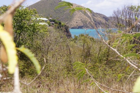 21448.34m² Land à Basseterre, Saint Kitts and Nevis No. 61522 10