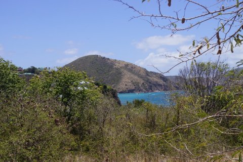 21448.34m² Land in Basseterre, Saint Kitts and Nevis No. 61522 2