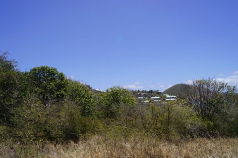 21448.34m² Land en Basseterre, Saint Kitts and Nevis No. 61522 6