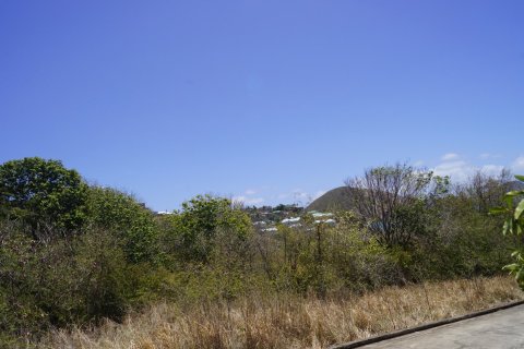 21448.34m² Land à Basseterre, Saint Kitts and Nevis No. 61522 5