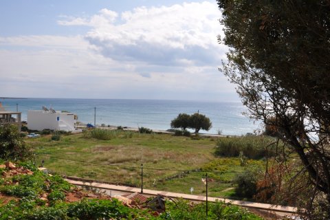 5547m² Land à Lasithi, Greece No. 57661 2