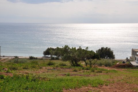 5547m² Land in Lasithi, Greece No. 57661 9