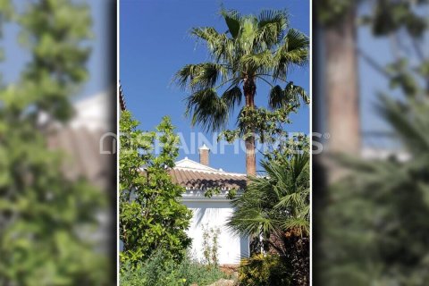 6 bedrooms Villa in Alhaurin el Grande, Spain No. 25675 6