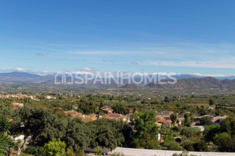 6 bedrooms Villa in Alhaurin el Grande, Spain No. 25675 10