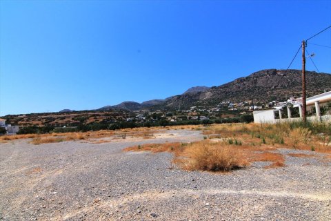 11000m² Land en Ierapetra, Greece No. 57492 6