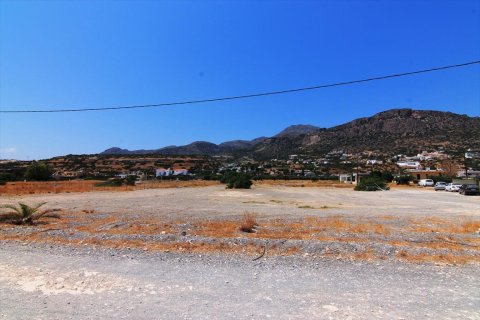 11000m² Land in Ierapetra, Greece No. 57492 8