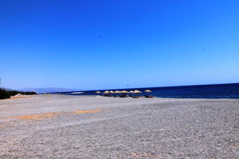 11000m² Land en Ierapetra, Greece No. 57492 1