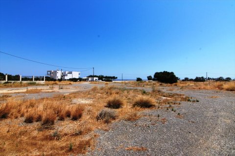 11000m² Land en Ierapetra, Greece No. 57492 5