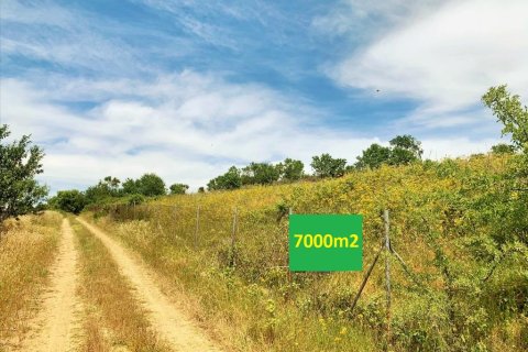 7000m² Land in Thessaloniki, Greece No. 57319 1