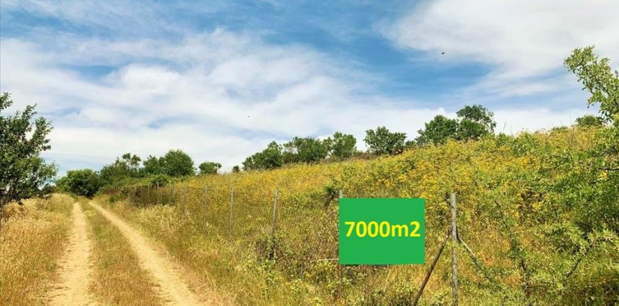 7000m² Land in Thessaloniki, Greece No. 57319