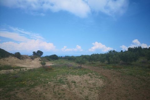 18500m² Land en Chalkidiki, Greece No. 57342 1