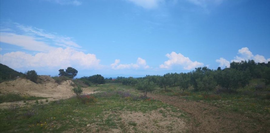 18500m² Land en Chalkidiki, Greece No. 57342